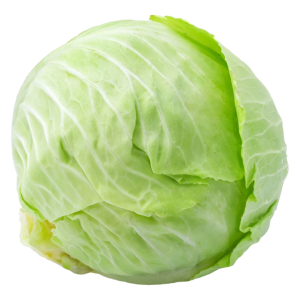 FEJES KÁPOSZTA CS-10DB