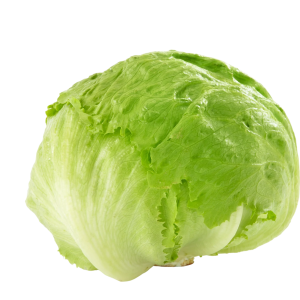 LACTUCA SAT. 'JÉGSALÁTA' CS-10DB