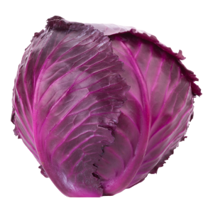 VÖRÖSKÁPOSZTA CS-10DB