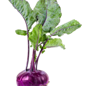 VÖRÖS KARALÁBÉ CS-10DB