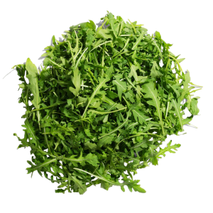 ERUCA SAT. 'RUKKOLA' CS-10DB