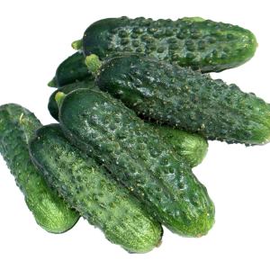 CUCUMIS SAT. 'KONZERVUBORKA' CS-9