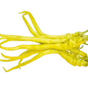 CAPSICUM ANN.  'PEPPERONI ÉDES' CS-9