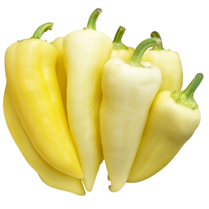 CAPSICUM ANN. 'FEHÉR TV' CS-9