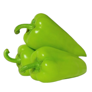 CAPSICUM ANN. 'HALVÁNYZÖLD TV' CS-9