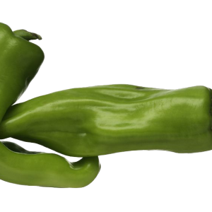 CAPSICUM ANN. 'HEGYES ERŐS' CS-9