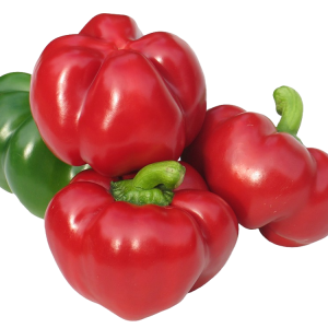 CAPSICUM ANN. 'PRITAMIN' CS-9