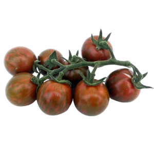 SOLANUM LYC. 'COOKIE' CS-12