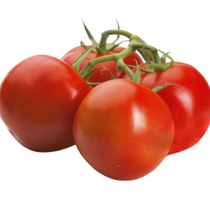 SOLANUM LYC. 'GRAPPELINA' CS-12