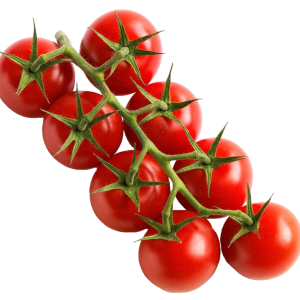 SOLANUM LYC. 'PEPE' CS-12