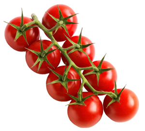 SOLANUM LYC. 'CROCKTAIL CRUSH' CS-12