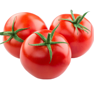 SOLANUM LYC. 'PREVIA' CS-12