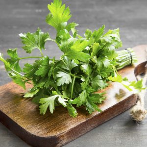 PETROSELINUM CRISPUM CS-12