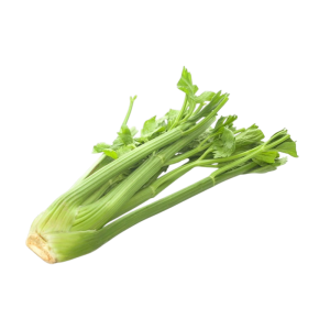 APIUM GRA. 'SZÁRZELLER' CS-12